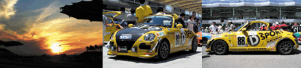 D-SPORT COPEN